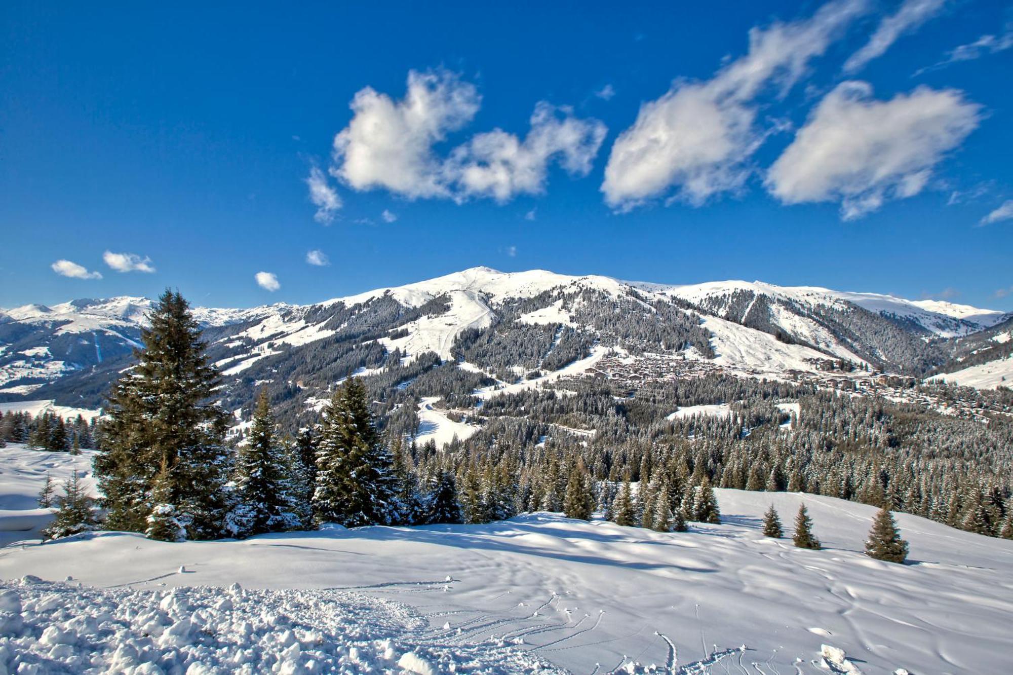 Apartment Bacher Wald im Pinzgau Bagian luar foto